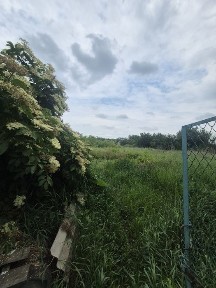 Київська область, Томилівка