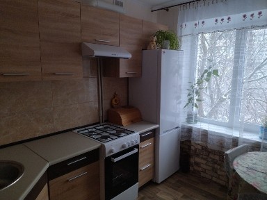 Аренда 1-комнатной квартиры 40 м², Бориса Мозолевского ул.