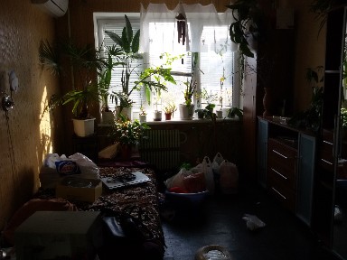 Аренда 1-комнатной квартиры 33 м², Василия Чапленко ул., 2