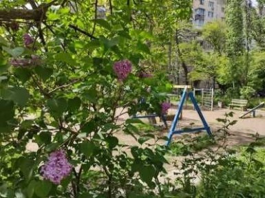Одеська область, Одеса, Хаджибейський