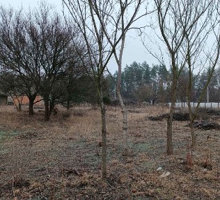 Продам дом в Орловщине (Старая слобода)