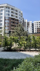 Київська область, Ірпінь