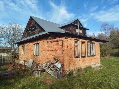 Будинок в Карпатах
