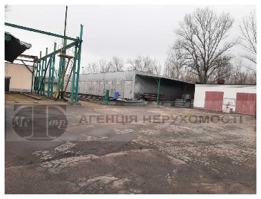 Здам в оренду промислову базу сегментовану під обробку деревини.