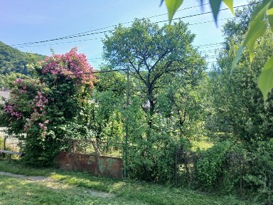 Закарпатська область, Солочин