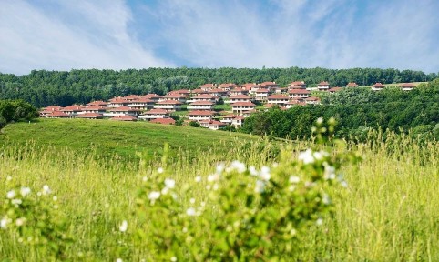 Київська область, Іванковичі