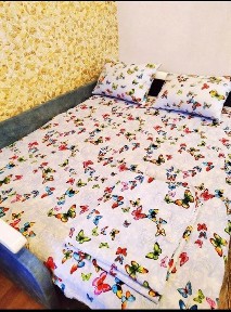 Сдам 1-комнатную квартиру в центре Одессы от хозяйки.