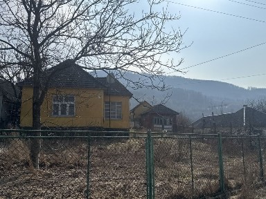 Продам будинок в курортному містечку Свалява