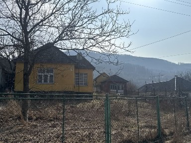 Продам будинок в курортному містечку Свалява