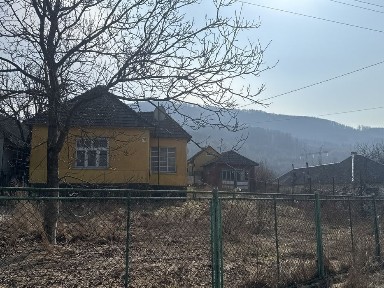 Продам будинок в курортному містечку Свалява