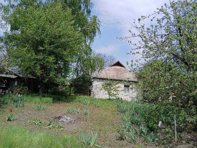 Київська область, Копачів