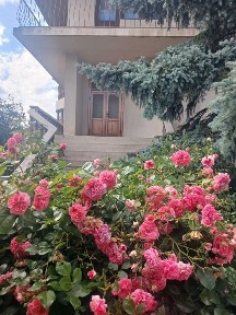 Закарпатська область, Ужгород