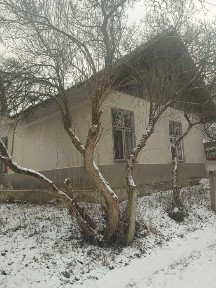Нежитлова будівля 63,7 м2, 0,083 га, Дубки, вул Черемшини 4