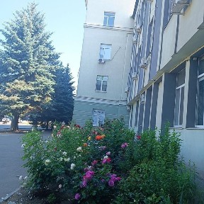Харківська область, Харків, Слобідський