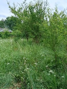 Продаж будинку село Гійче Жовківський район