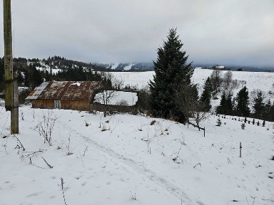 Хата в карпатах з ділянкою біля 