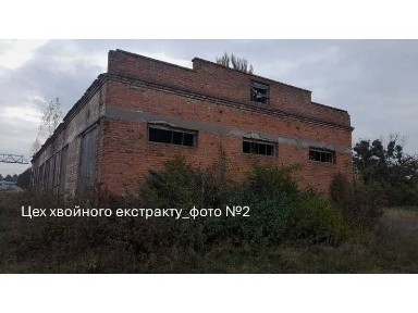 Волинська область, Володимир
