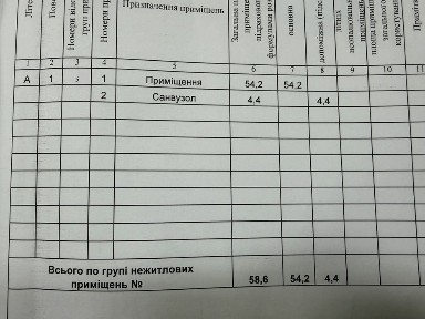 Київська область, Бориспіль