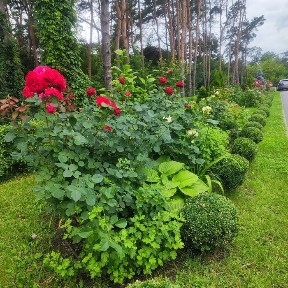ЖК <a href='/newbuilding/5369/view/zk-river-house'>River House</a> 3 к. квартира -113 м 2 !