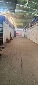 Київська область, Українка