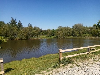 Івано-Франківська область, Марківці