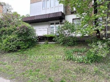 Київська область, Київ, Печерський