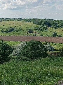 Харківська область, Таранівка