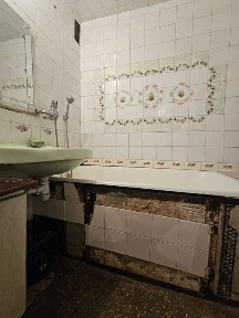 Трешка на Добровольского