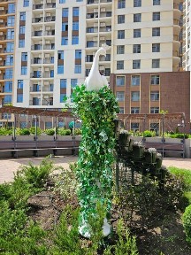 Одеська область, Одеса, Приморський
