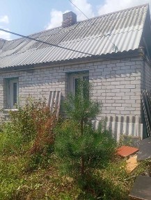 Половина будинку, Богунія