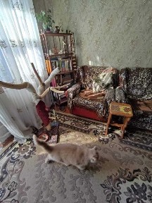 Продам 3 к квартиру Чугуев