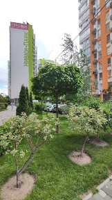 Київська область, Київ, Шевченківський