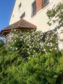 Дніпропетровська область, Дніпро, Амур-Нижньодніпровський