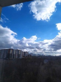 Харківська область, Харків, Шевченківський