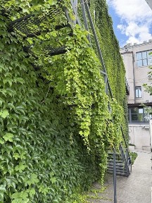 Дніпропетровська область, Дніпро, Шевченківський