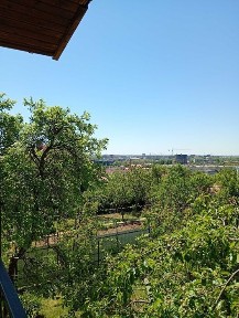 Закарпатська область, Ужгород