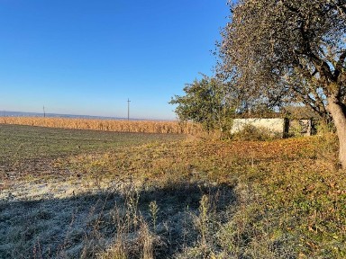 Продається будинок з підсобними приміщеннями.