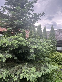 Харківська область, Харків, Шевченківський