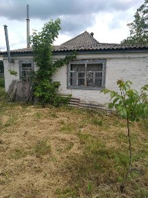 Київська область, Вільшанська Новоселиця