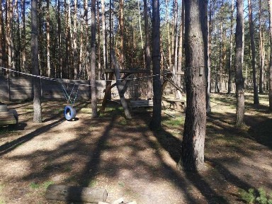 Продається велика ділянка в лісі з недобудованим будинком