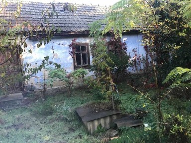 Продам дом в Доброславе