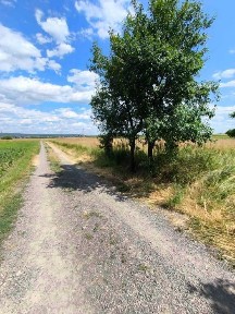 Закарпатська область, Кінчеш