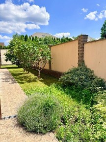 Київська область, Петропавлівська Борщагівка