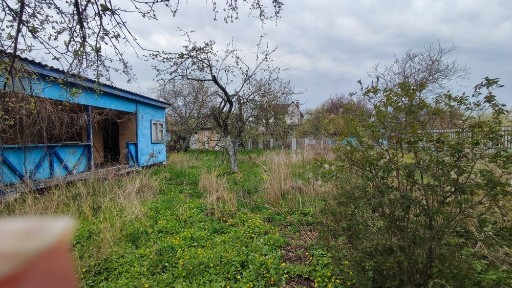 Київська область, Київ, Дарницький