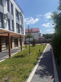 Львівська область, Львів, Шевченківський