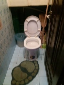 Кіровоградська область, Світловодськ