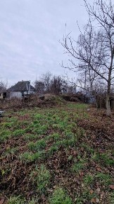 Київська область, Красне перше