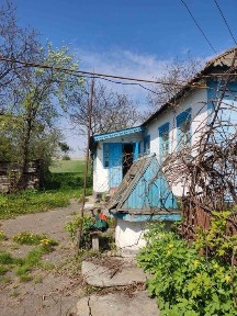 Київська область, Ромашки