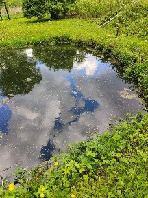 Продається будинок в Мерефі