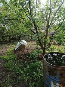 Сумська область, Суми
